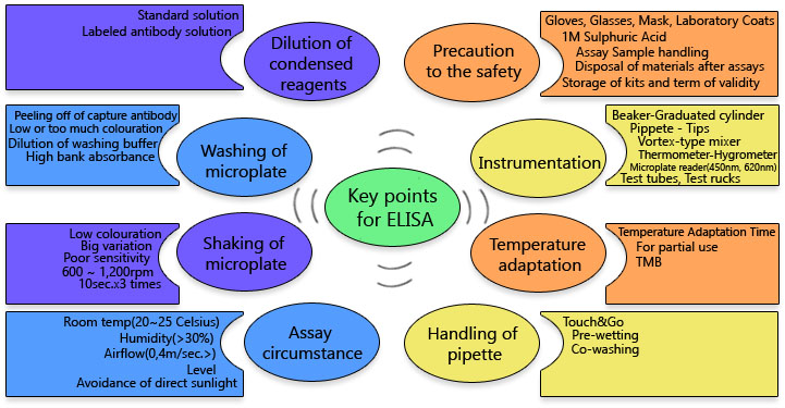 Key points for ELISA
																	Dilution of condensed reagents - standard solution, Labeled antibody solution
																	Washing of microplate - Dilution of washing buffer, High bank absorbance, Low or too much colouration, Peeling off of capture antibody
																	Shaking of microplate - Low colouration, Big variation, Poor sensitivity, 600 ~ 1,200rpm, 10sec.x3 times
																	Assay circumstance - Room temp(20~25 Celsius), Humidity(>30%), Airflow(0,4m/sec.>), Level, Avoidance of direct sunlight
																	Precaution to the safety - Gloves, Glasses, Mask, Laboratory Coats, 1M Sulphuric Acid, Assay Sample handling, Disposal of materials after assays, Storage of kits and term of validity
																	Instrumentation - Beaker-Graduated cylinder, Pipette - Tips, Vortex-type mixer, Thermometer-Hygrometer, Timer, Microplate reader(450nm, 620nm), Test tubes, Test rucks, others
																	Temperature adaptation - Temperature Adaptation Time, For partial use, TMB
																	Handling of pipette - Touch&Go, Pre-wetting, Co-washing